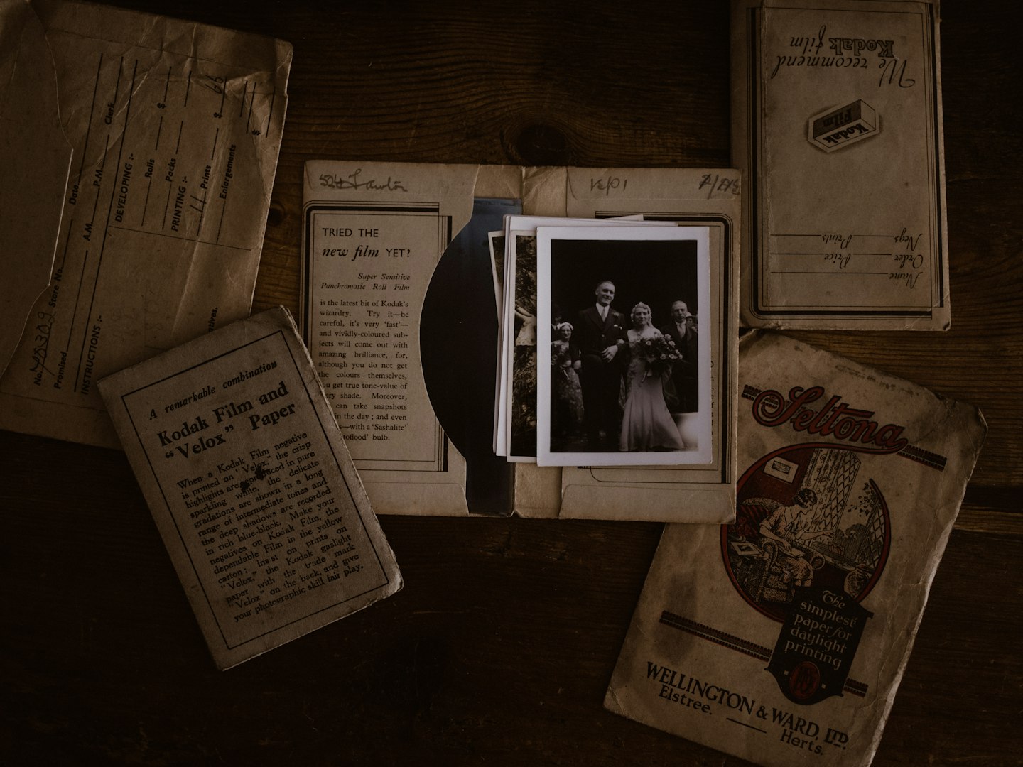 Genealogia